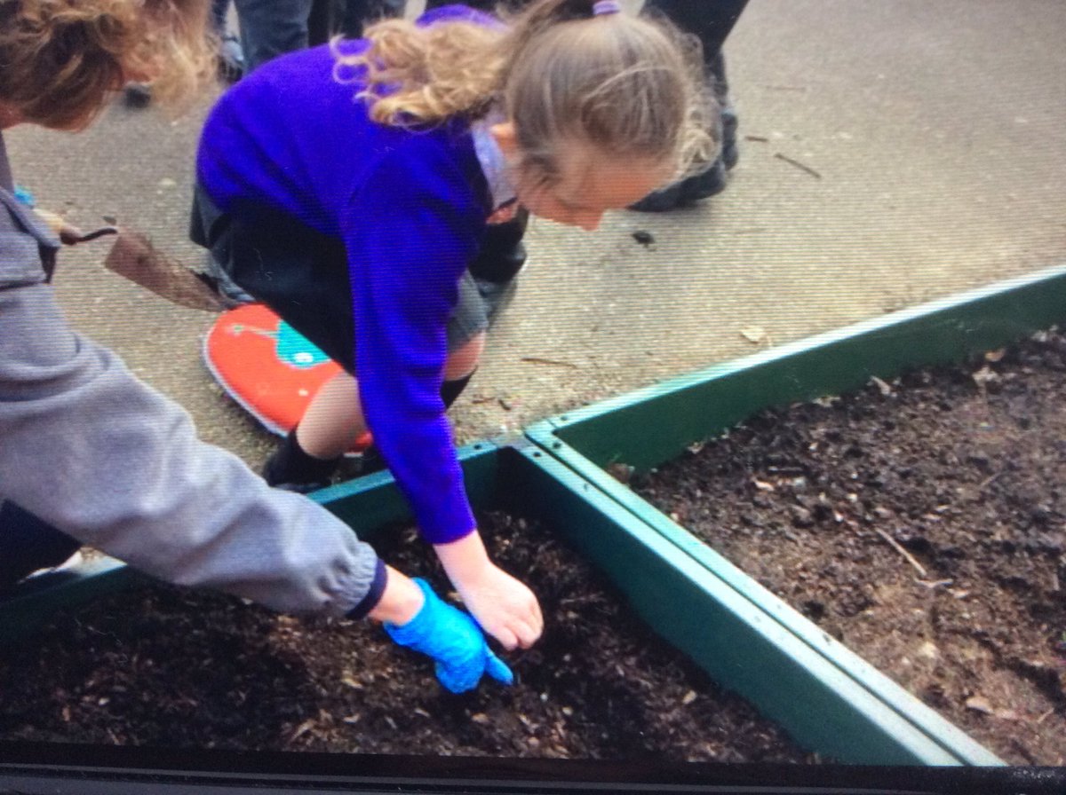 Hall Meadow Primary School tweet media