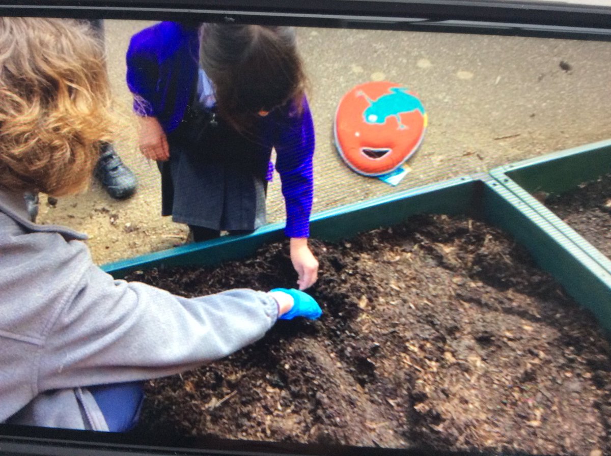 Hall Meadow Primary School tweet media