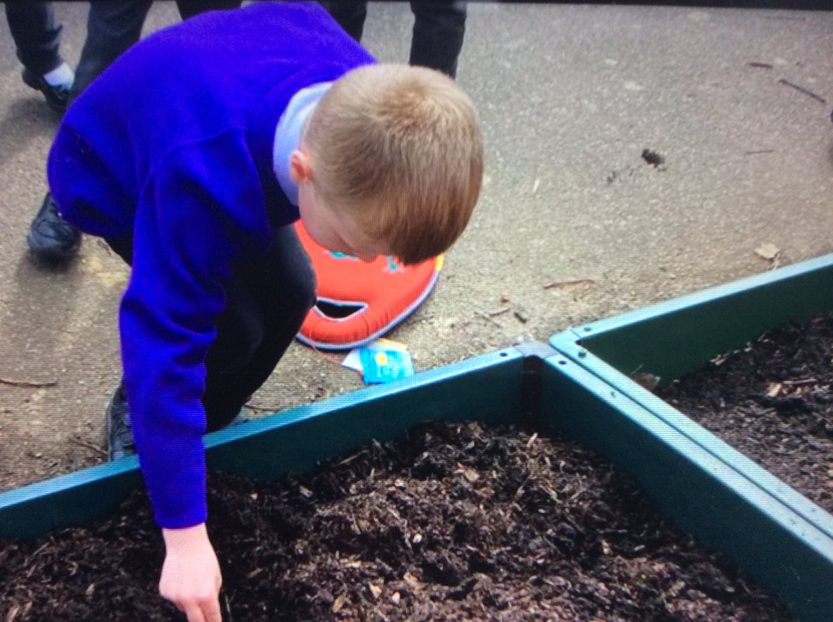 Hall Meadow Primary School tweet media