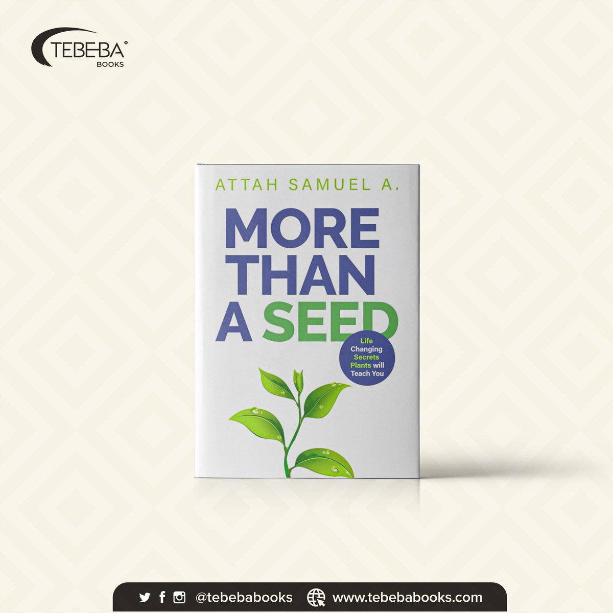 Tebebabooks's tweet photo. MORE THAN A SEED will equip you for greatness.
Read this book and unleash the successful, happy and purpose driven you for just N999 here
https://t.co/fGnCDTZJrr
#tebeba #tebebabooks #selfhelp #personaldevelopments #selfdevelopments #books #bibliophiles #ebooks #bookstores https://t.co/oUZGpSCkD4