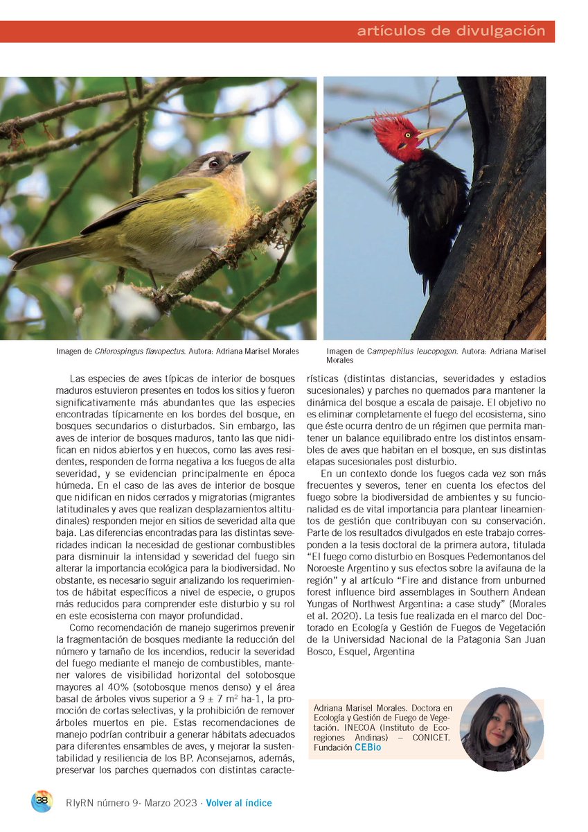 Revista Incendios y Riesgos Naturales (RIyRN) tweet media