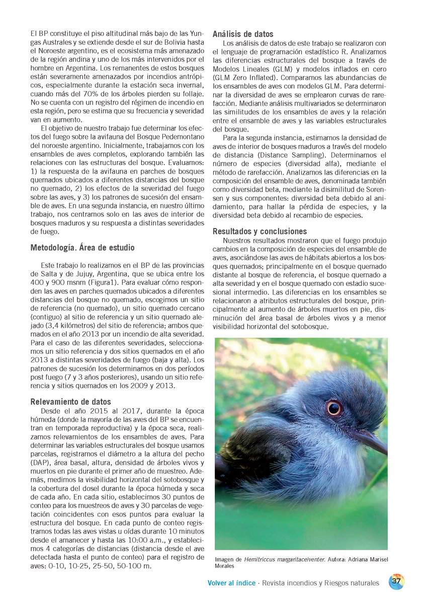 Revista Incendios y Riesgos Naturales (RIyRN) tweet media