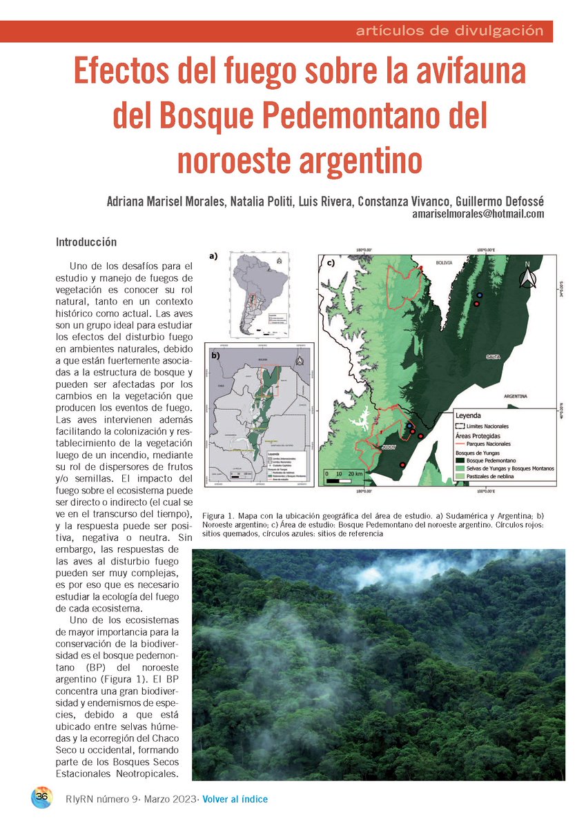 Revista Incendios y Riesgos Naturales (RIyRN) tweet media