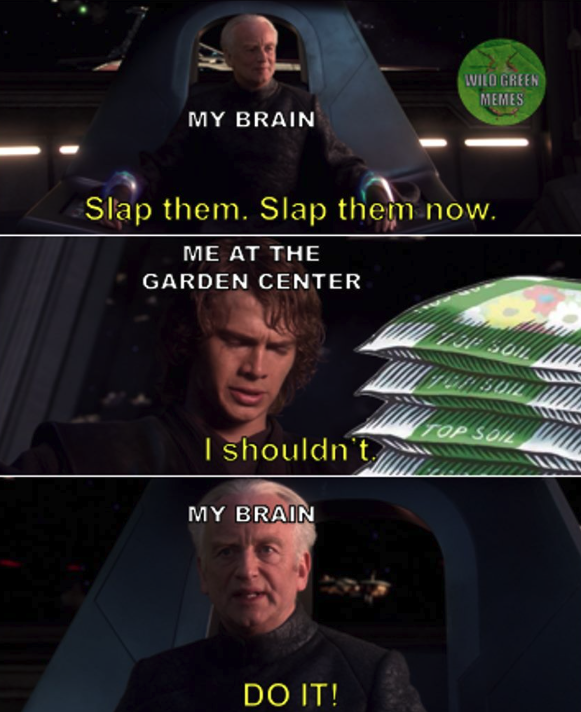 Dr. Traci Nathans-Kelly - she/her/they tweet media