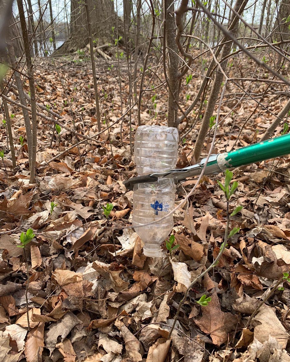 LondonEnviroNet's tweet photo. Leave the leaves but pick up the litter #LdnOnt!
Our team participated in 20 Minute London Makeover at Westminster Ponds Centre this morning for @ldncleangreen. It's not too late to join or start your own litter cleanup! https://t.co/EdDNFHqVxW
#519cleangreen https://t.co/yWC79w5nR8