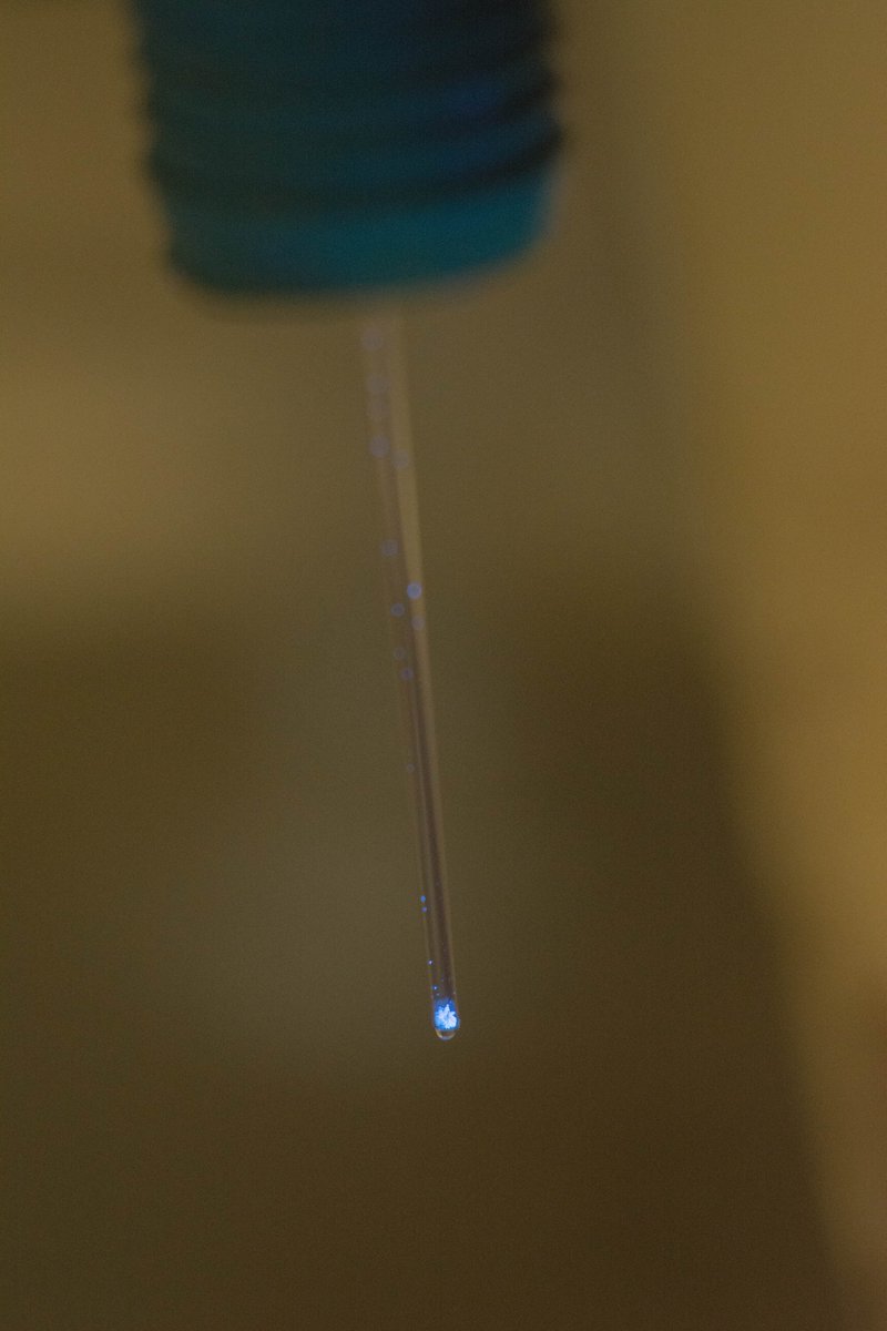 VinicioM23's tweet photo. Strong blue fluorescence in crystals of a carbazole derivative. 
← 365 nm UV light 
→ 254 nm UV light 
#CienciaUNAM #CENChemPics #FluorescenceFriday #macrophotography https://t.co/YBGXWxbiJr