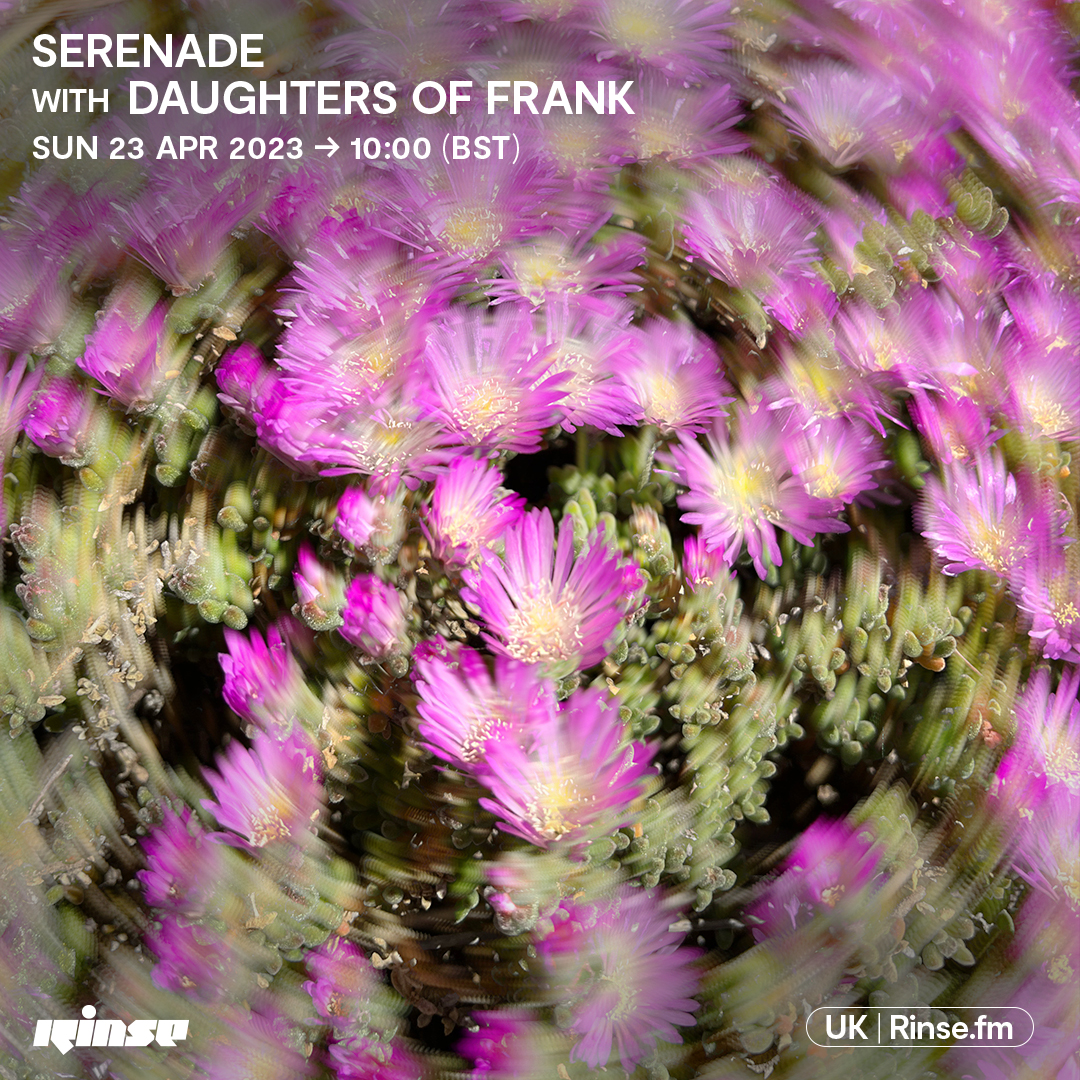 RinseFM's tweet photo. LIVE: it's #Serenade with #DaughtersofFrank on https://t.co/6hLtrLYpIS + 106.8FM
#RinseFM https://t.co/AK2CFQhuyT