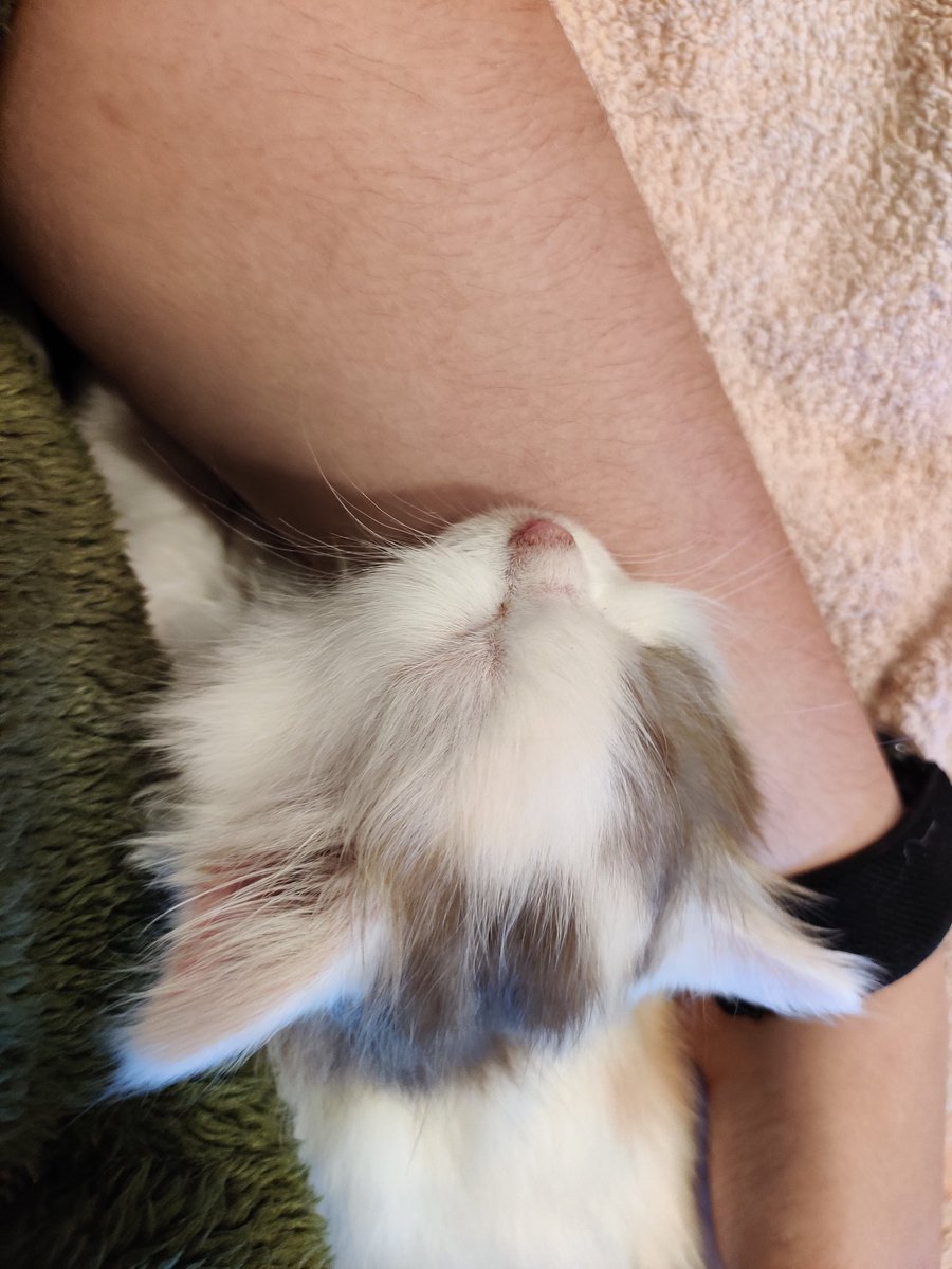 RockThisSh_'s tweet photo. I'm trapped again, send prayers https://t.co/NavsfVhA65