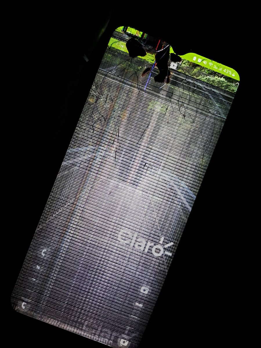 dale seguí dando MG