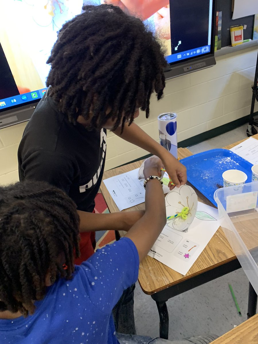 NNPS Elementary Curriculum & Development tweet media