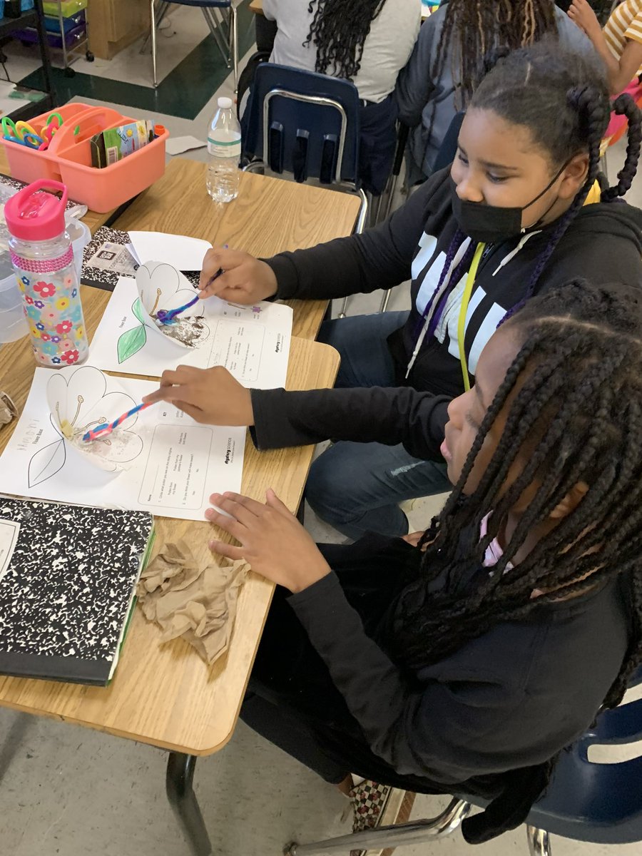 NNPS Elementary Curriculum & Development tweet media