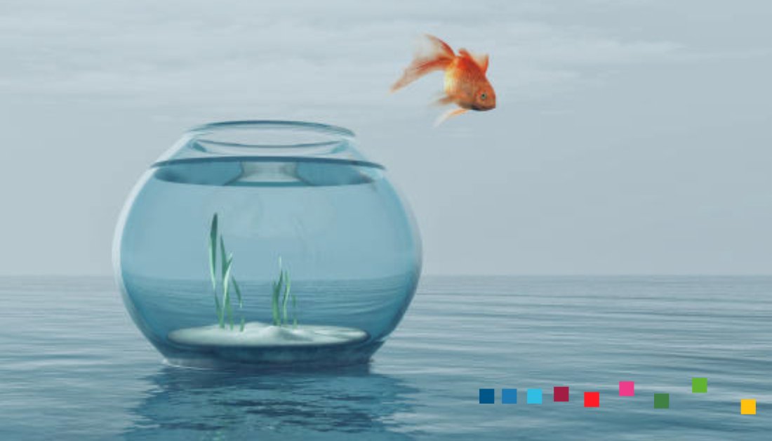 GregTheThinker's tweet photo. Innovative leaps can make you feel like a fish out of water. We'll help you find a soft landing! Apply for the #TobagoInnovationChallenge at https://t.co/qzqLqSgYQ4! #InnovatorsUnite #WCID
@UNDPAccLabs @UNDPTT https://t.co/PqQTZOMNsj