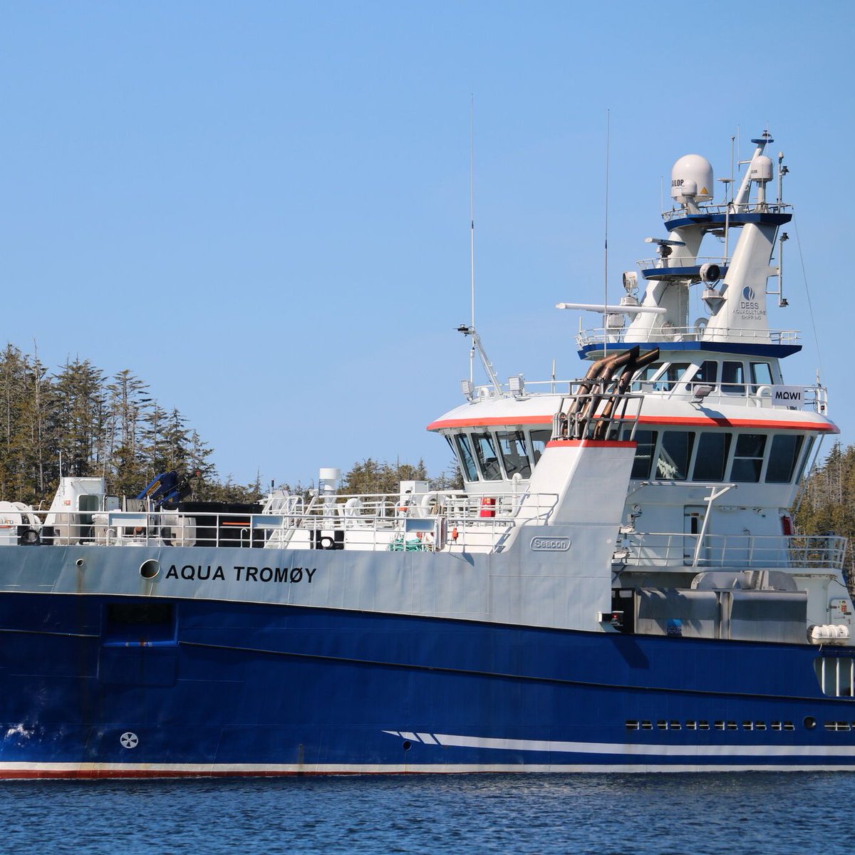 WesternMaritime's tweet photo. Which one of these vessels do you want to operate? #TugBoatLife #SmallVessel #MarineShip #ShipYards #SmallShipCruising #ShipSpotting #ShipSpotters #SeaLife #SeaFarer #SeaFarerLife #FishingBoats https://t.co/RJpilYtbDT