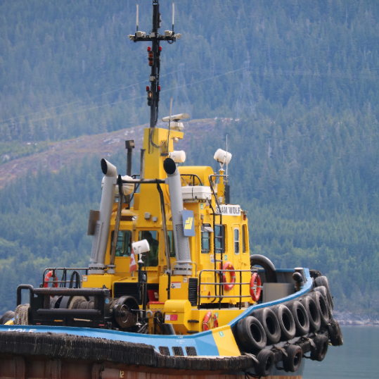 WesternMaritime's tweet photo. Which one of these vessels do you want to operate? #TugBoatLife #SmallVessel #MarineShip #ShipYards #SmallShipCruising #ShipSpotting #ShipSpotters #SeaLife #SeaFarer #SeaFarerLife #FishingBoats https://t.co/RJpilYtbDT