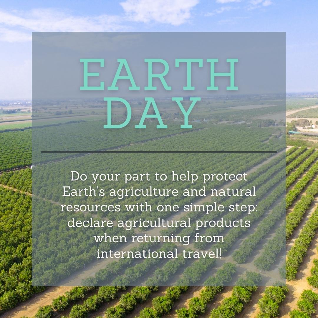 Don't Pack a Pest tweet media