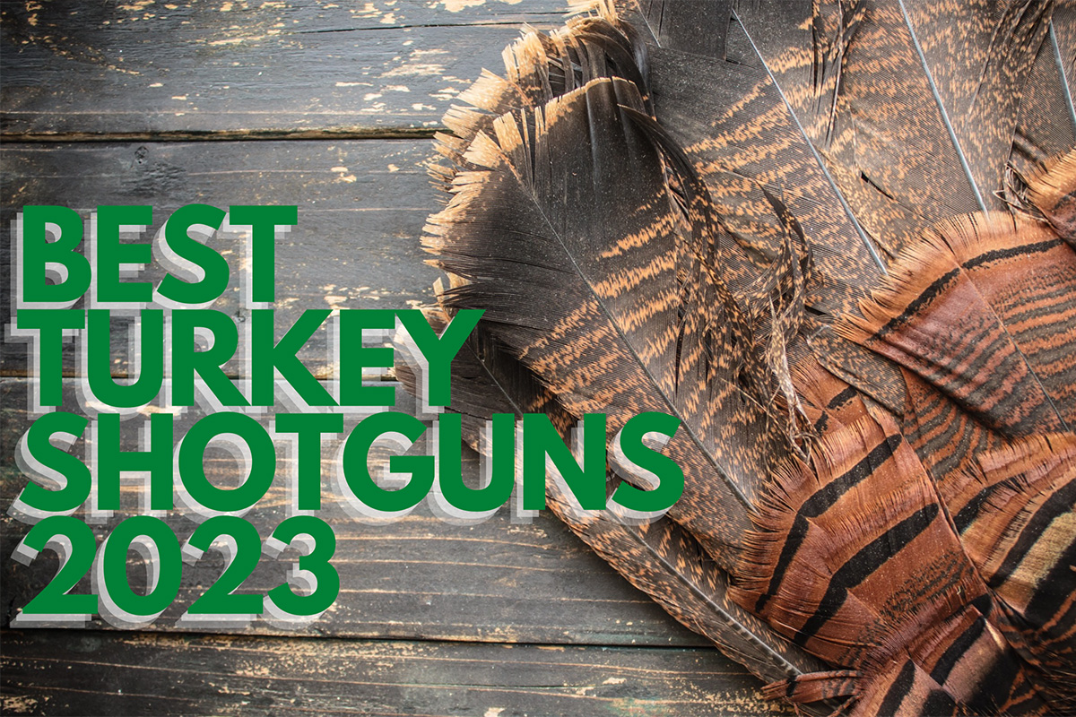 OUTDChannel's tweet photo. Looking for a guaranteed gobbler-getter? Here are the best turkey shotguns on the market this spring via Petersens Hunting: https://t.co/cRwDPkFWrN
#FirearmsFriday #shotgun #2023 #best #new #turkeygun #wildturkey #turkeyhunting #spring #gun https://t.co/1eswstMDa0