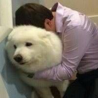 potin_'s tweet photo. 还有一步就奔三了，人生也遇到了分岔路，同时缺乏自信，加油迈过这个坎吧。 https://t.co/TPw6AQOHau