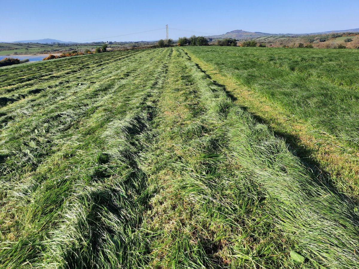 Ronan Joyce tweet media