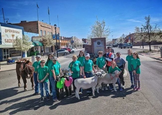 Come out to #Rafter3CArena on April 27-29 to see the best of local youth livestock breeding, raising &amp; showing at the annual #ChurchillCounty Junior Livestock Show &amp; Sale. Your chance to buy an animal to fill your freezer! More details: buff.ly/3UUE36G #ChurchillCountyNV