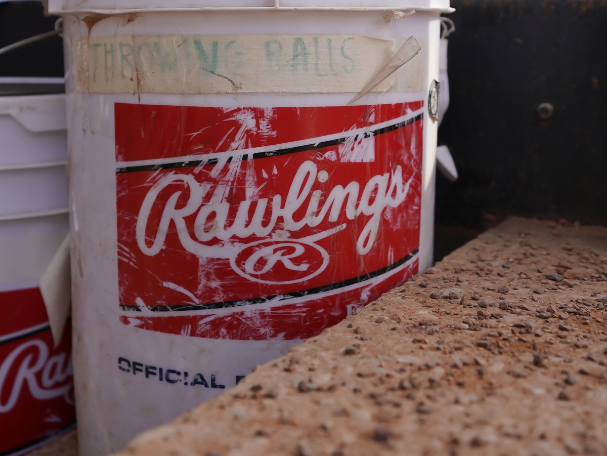 WKU Softball tweet media