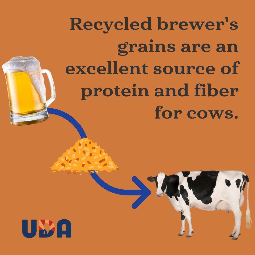 United Dairymen of Arizona tweet media