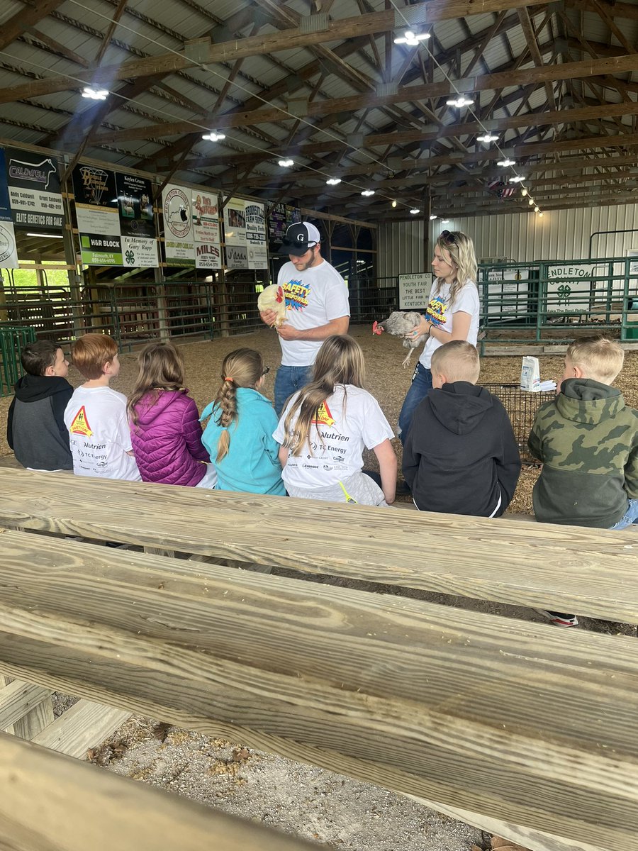 PendletonCoFFA's tweet photo. Today we had AG Safety day and educated 3rd graders from our county elementary schools about goats, sheep, rabbits, and chickens. We told them about how to keep livestock safe and keep ourselves safe when working with livestock. #agsafety #ffa #kyffa #supportag https://t.co/wseoN36DB6