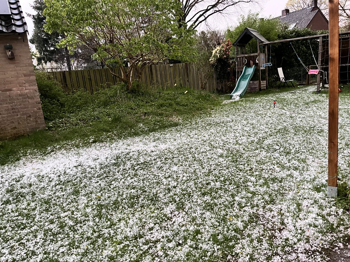 #lente gelukkig waren de konijnen niet ontsnapt…