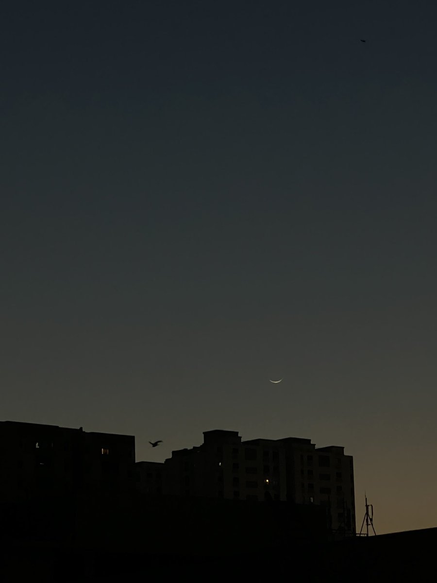 anis_omaima's tweet image. How perfectly crescent, and beautiful. The selenophile inside of me teared up a little
Eid Mubarak ✨