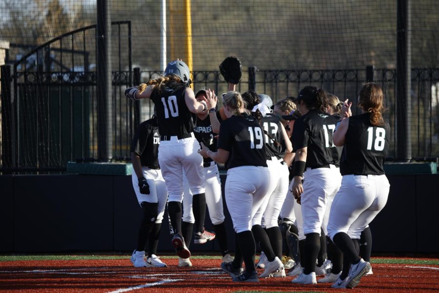 couriercod's tweet photo. The COD softball team fought to take control of the second game against Oakton Community College to snap out of their four-game losing streak. https://t.co/Viugv4396C
#Chaparralsoftball #CODsoftball #CODsports #CODstudentsports #collegeofdupagesoftball #Collegeofdupagesports https://t.co/Coyqhc70dH