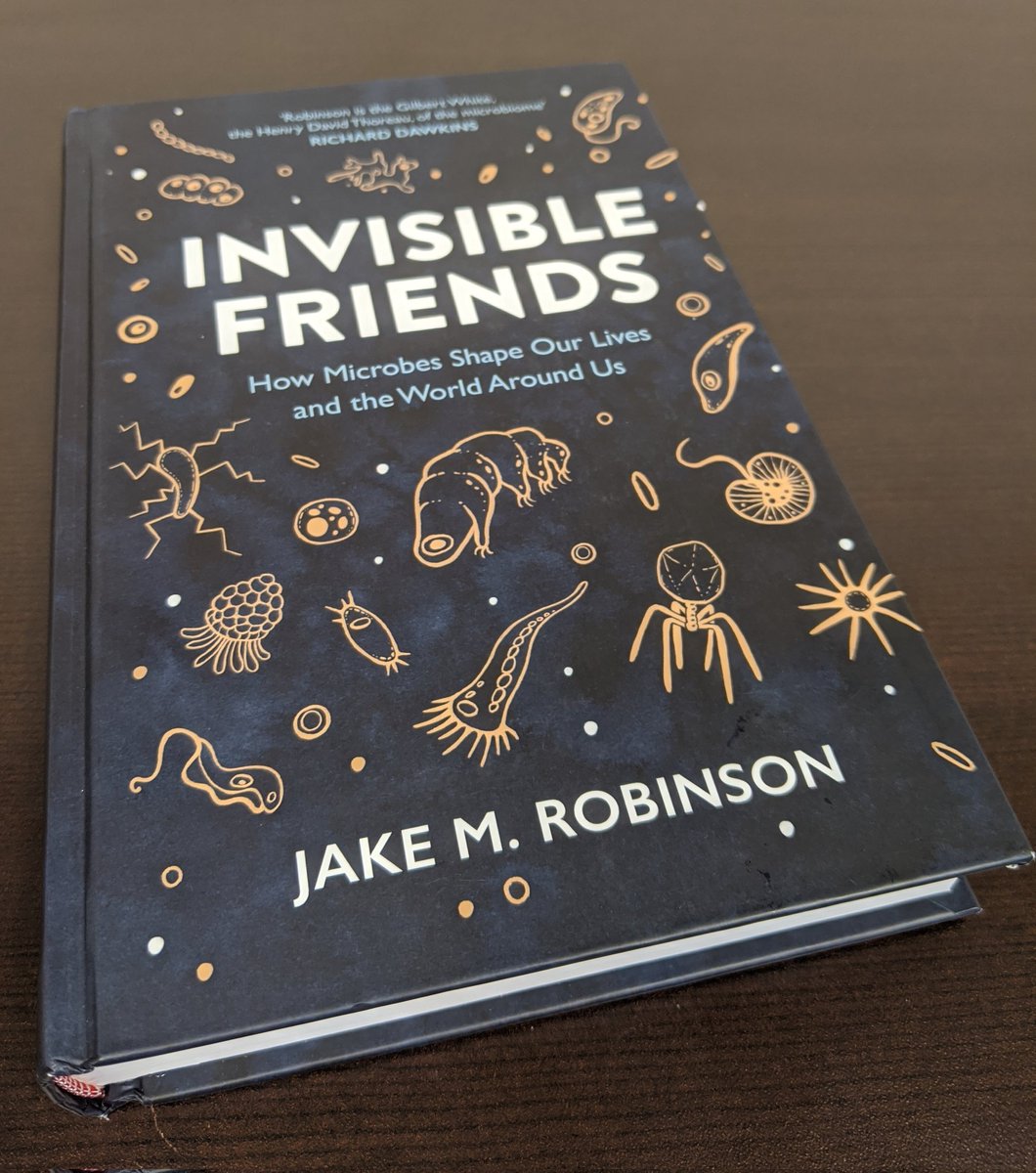 Veronica Guariglia tweet media