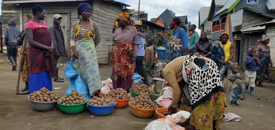 tsongo_elie's tweet photo. Geurre🇨🇩 @FARDC_off -🇷🇼 @M23/@RDF : Dans plusieurs villages de @Masisi et @Rutshuru, la population dément les retraits du @M23, selon eux, dans la journée en tenues civiles, le soir en tenues militaires, les terroristes y cohabitent avec les éléments de la force de @eacrf_DRC. https://t.co/2MXG4mKu1J