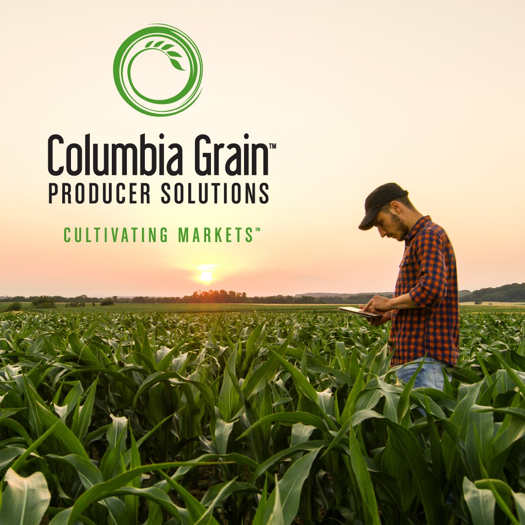 ColumbiaGrain's tweet photo. Cultivate Profitability with CGI Producer Solutions. We provide the tools producers need.
Visit our Producer Solutions platform here: https://t.co/fWNFr2iFG5
#columbiagrain #cultivatinggrowth #producersolutions #agribusiness #agriculturelife #commoditymarket #agritech https://t.co/Zvo4jg7heA