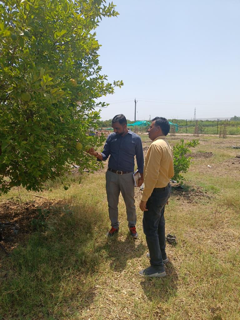 Mahisagargrams1's tweet photo. આજ રોજ મહીસાગર જિલ્લાના લુણાવાડા તાલુકામાં પ્રાકૃતિક ખેતી કરતા ખેડૂતની મુલાકાત મા.જિલ્લા ખેતીવાડી અધિકારી શ્રી દ્વારા મુલાકાત કરવામાં આવી. અને પ્રાકૃતિક ખેતી માટે જરૂરી માર્ગદર્શન પૂરું પાડવામાં આવ્યુ.
@Jrpatel28Patel 
@collectormahisagar
@DDOMAHISAGAR 
@ATMAMahisagar https://t.co/qRxBfQnwp9