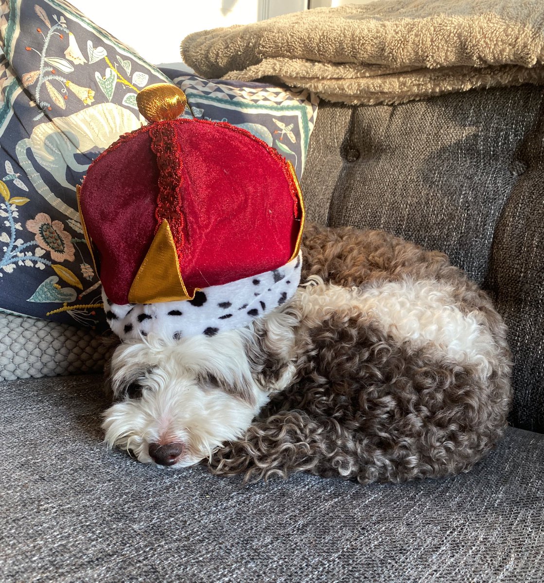 bemorebob2's tweet photo. What the jolly ekk is going on? One is not amused #PlansAFoot 👑 https://t.co/daJjGyRGT8