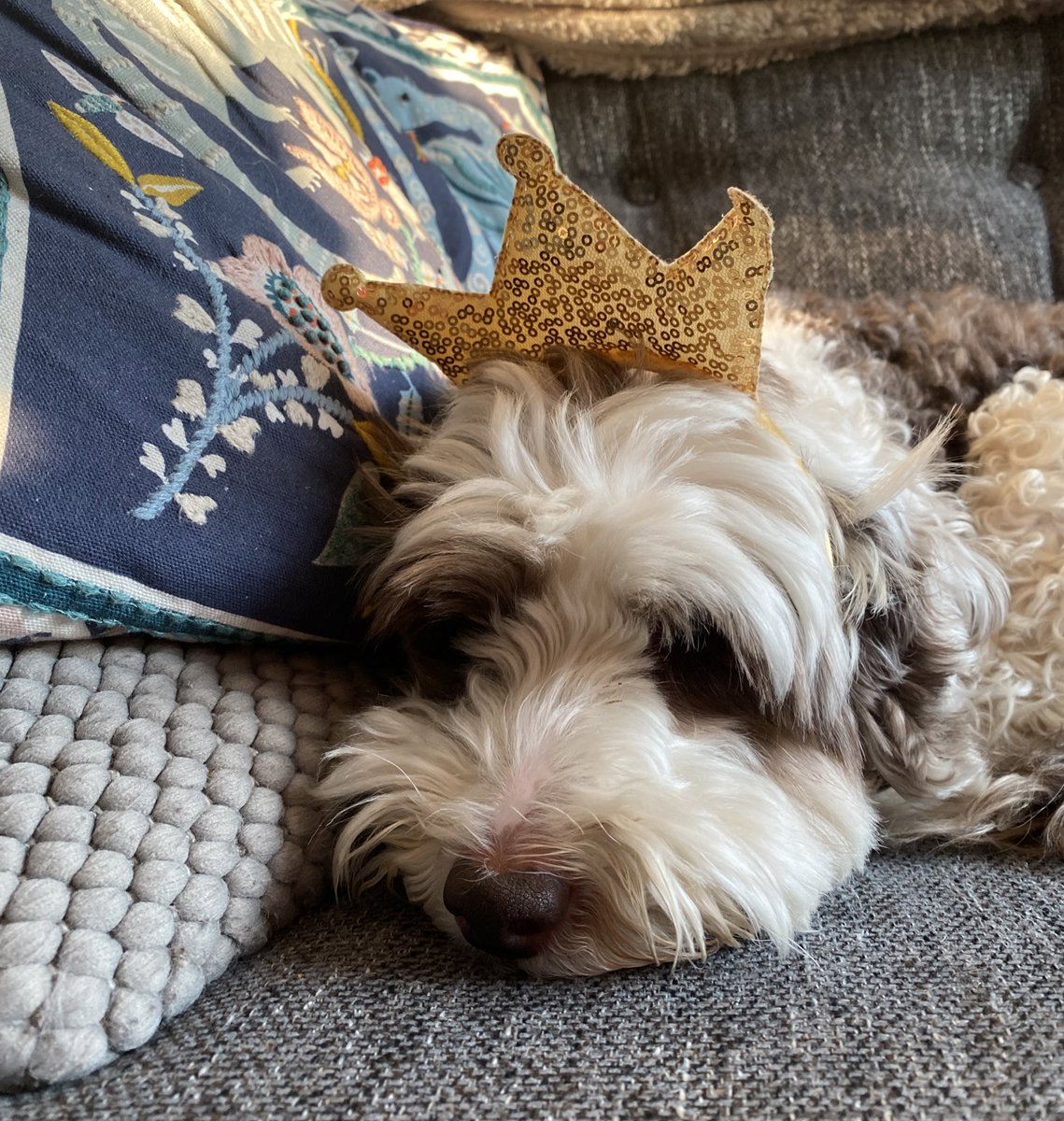 bemorebob2's tweet photo. What the jolly ekk is going on? One is not amused #PlansAFoot 👑 https://t.co/daJjGyRGT8