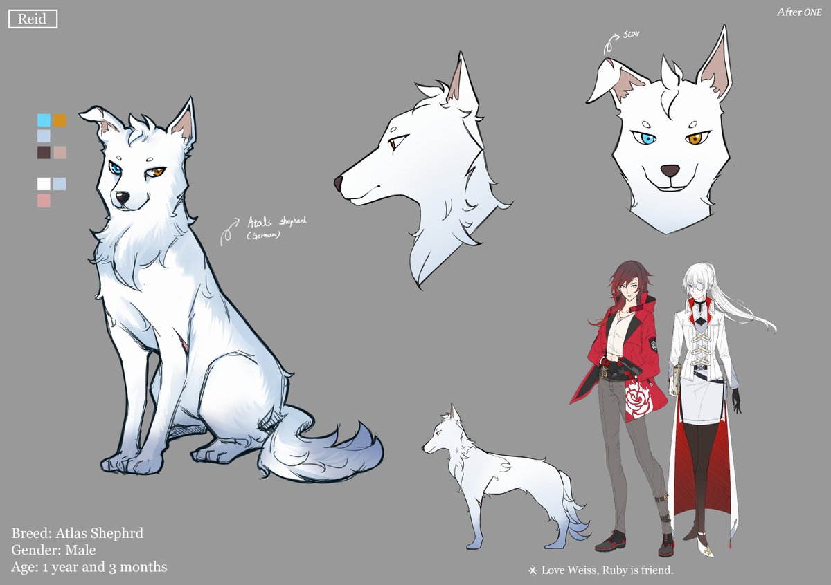 jindianjun000's tweet photo. After ONE Future: Reid (whiterose's dog)🌹❄️🐕
#RWBYAU_AfterONE https://t.co/jjJAY2LvhJ