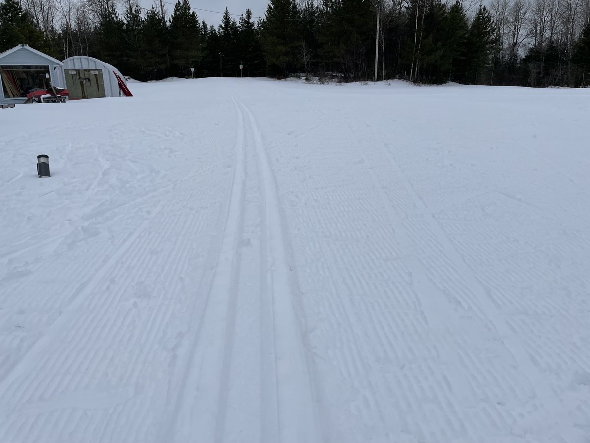 Lappe Nordic tweet media