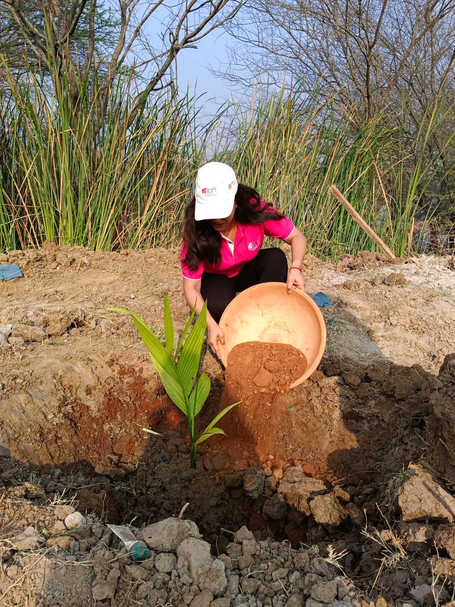 OfficialBSENS's tweet photo. Plant a tree today and grow a better tomorrow https://t.co/XxFtxRUbCZ