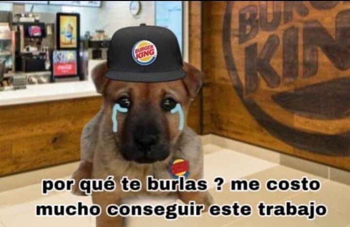 Voy a juntar todos estos memes porque son muy bellos e invitan a la reflexión.