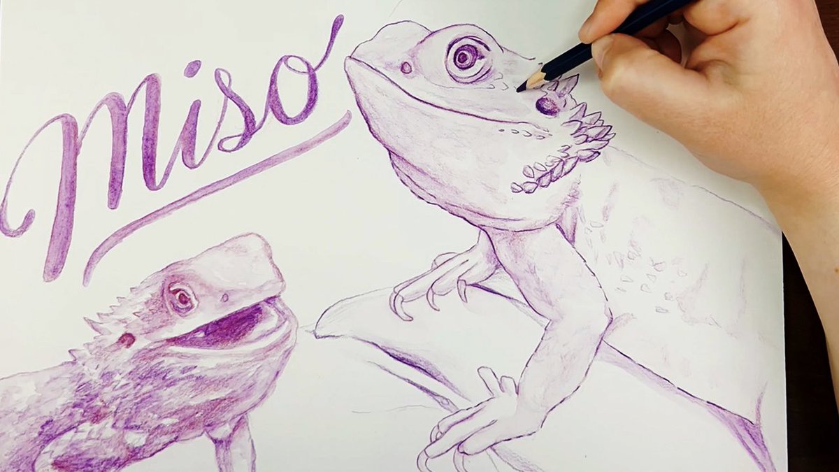 SketchingwSarah's tweet photo. New YouTube video! Let’s learn about bearded dragons 🦎 https://t.co/DpeI4Lp4U9 https://t.co/sr3bX6Wp6p