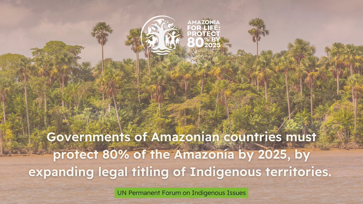 The Amazon is reaching its tipping point, according to the final report of this year's #UNPFII, but we still have a chance to avoid catastrophe. 
Read our report below to learn how. 
 #Amazonía80x25
#SomosIndígenas

👉amazonia80x2025.earth