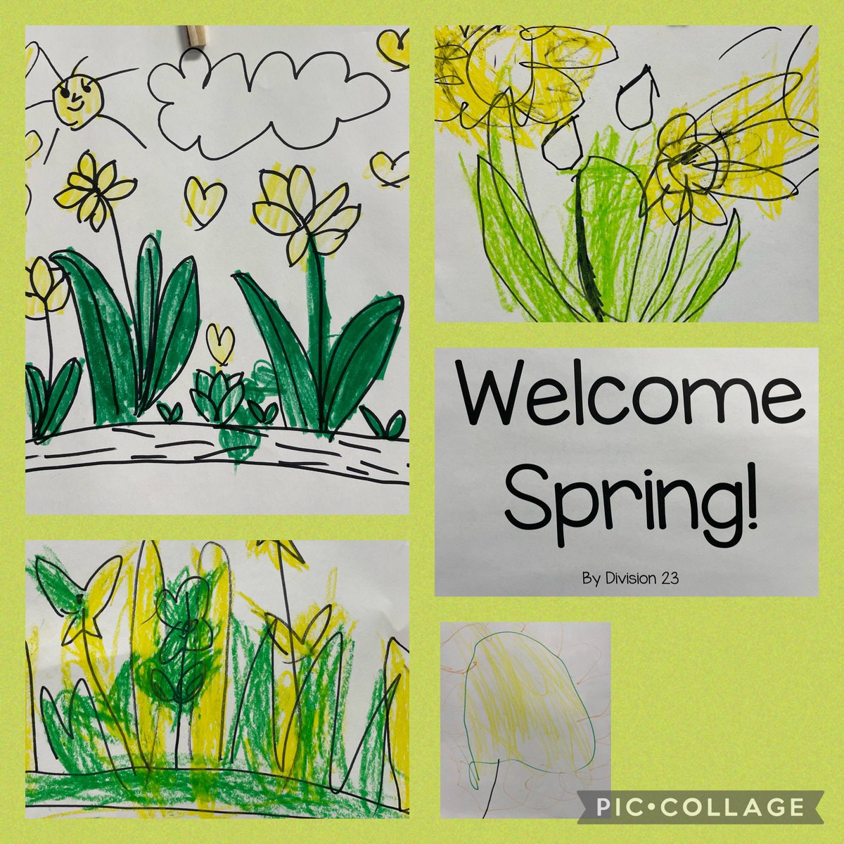 Cook Elementary tweet media