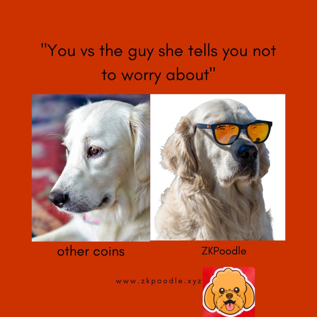 When she tells you not to worry about other coins, but you know the real winner is #ZKPoodle 🐩🚀

 #CryptoHumor #MemeSeason🤣👌🏼