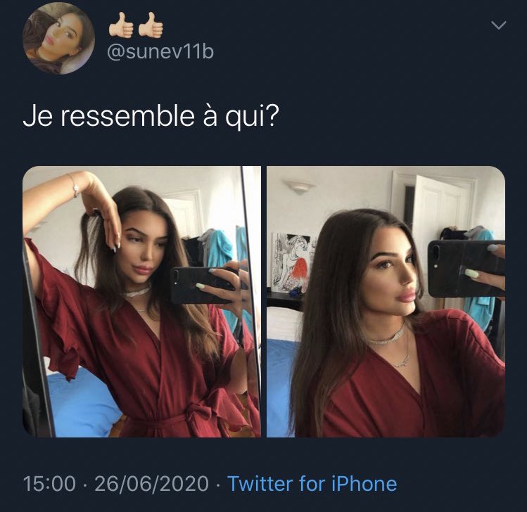 TopDesTwittos's tweet image. Pendant ce temps sur Twitter en 2020