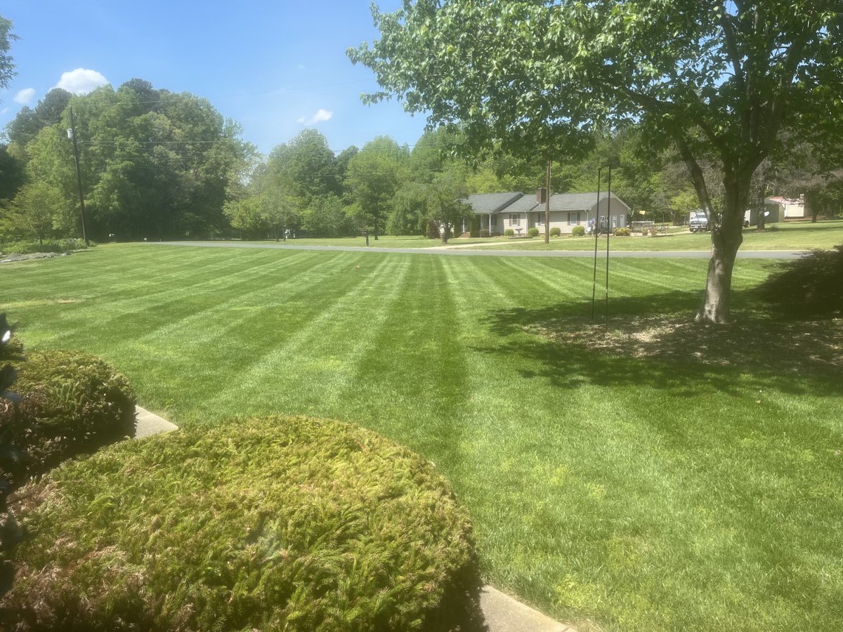 Karrion_WWE's tweet image. The lawn is looking good at the new house. Interior is completely painted, pressure washing the exterior/driveway/walkway/pool area in the next few days. Move In Day is Thursday!