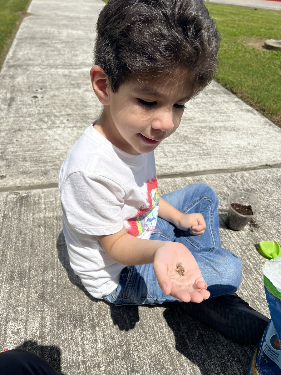 Last week Room 707 planted some seeds &amp; now we are so excited to watch them grow everyday! We can’t wait to see the flowers that will bloom 🌸