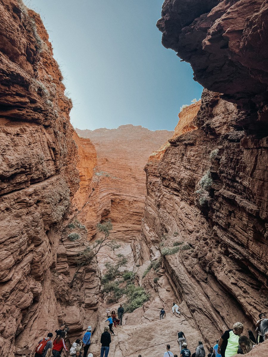 Amaia Giralt tweet media