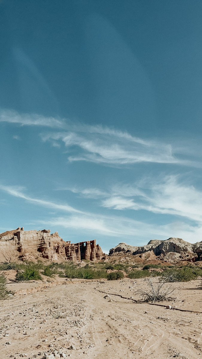 Amaia Giralt tweet media