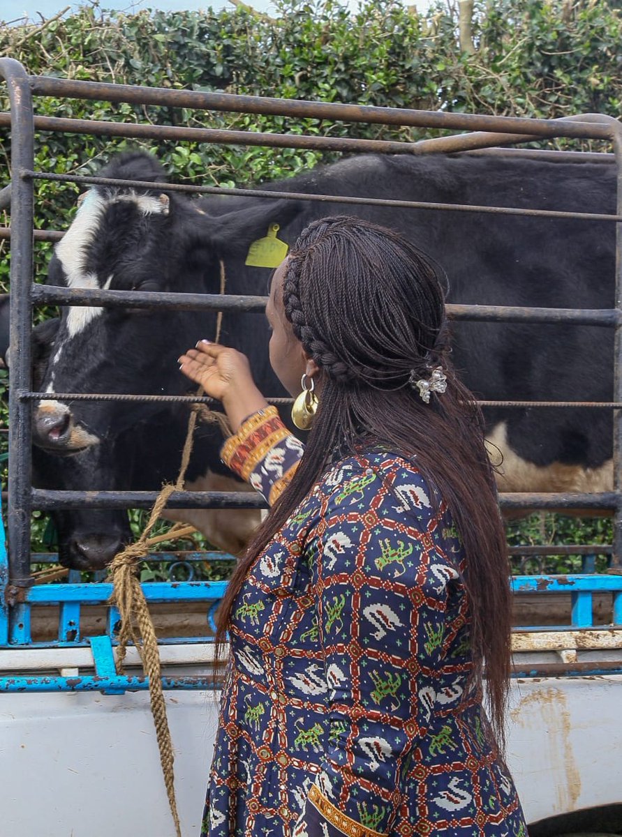 rigathi's tweet photo. On the sidelines of the engagement Speakers and Members of County Assemblies from Central Kenya, I took some time off, together with my Spouse Pastor Dorcas, to  check on our cows and inspect the dairy farming project at my home in Iruri Village, Mathira. https://t.co/DPgP9zq1Lk