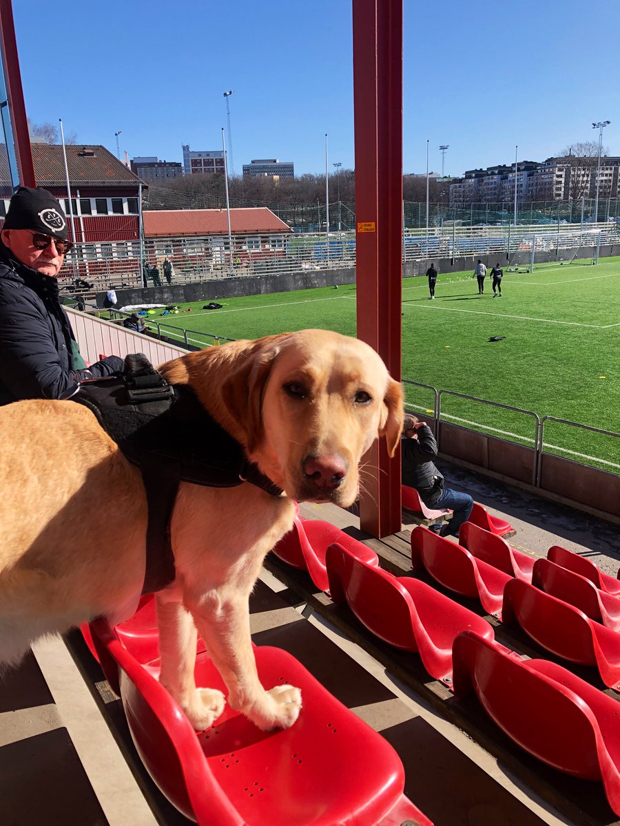 Nellie, AIK finaste support. ❤️😍 @fammartin2001